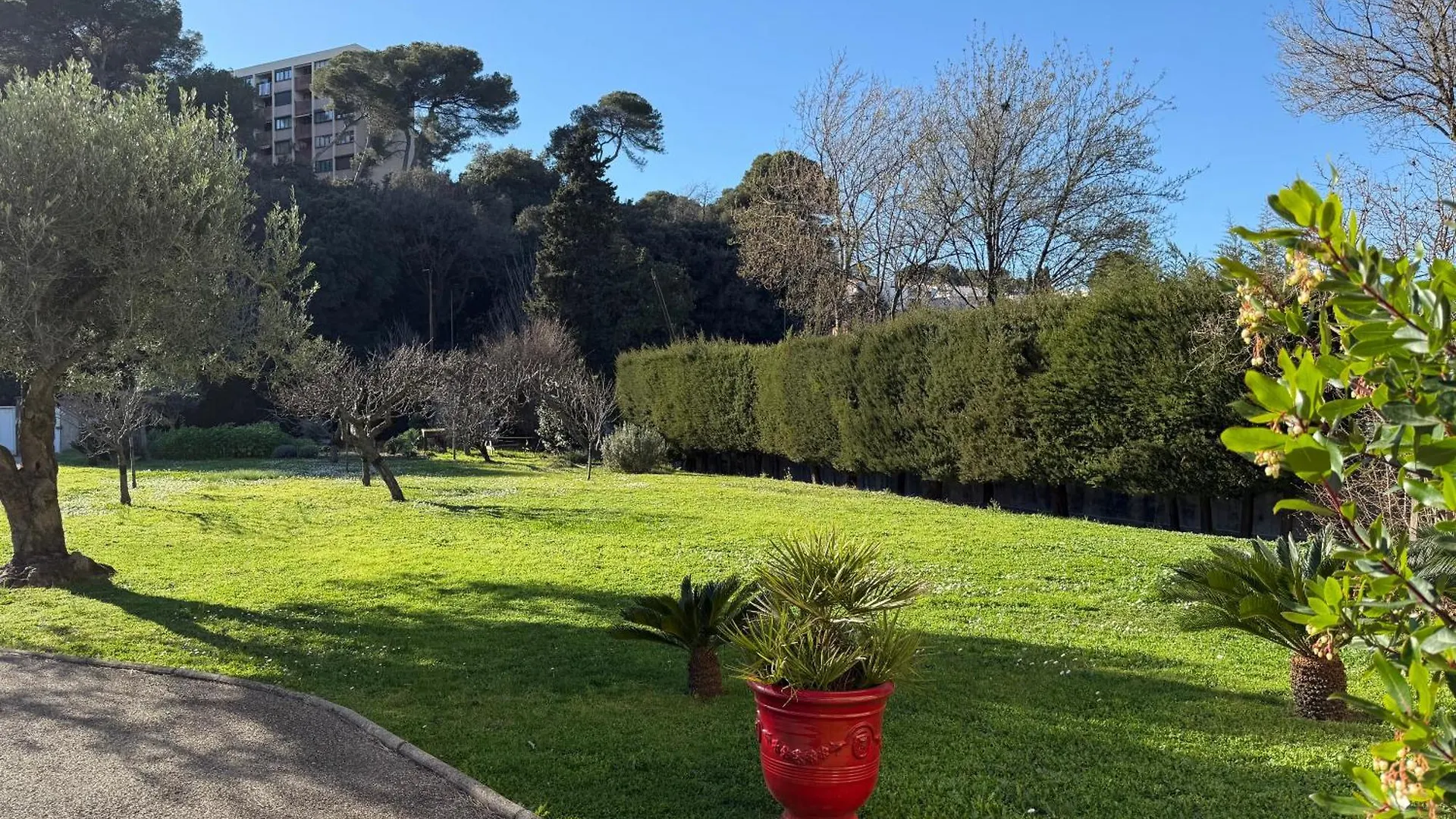 Studio Tout Confort Au Calme Avec Jardin Proche Cannes Le Cannet France